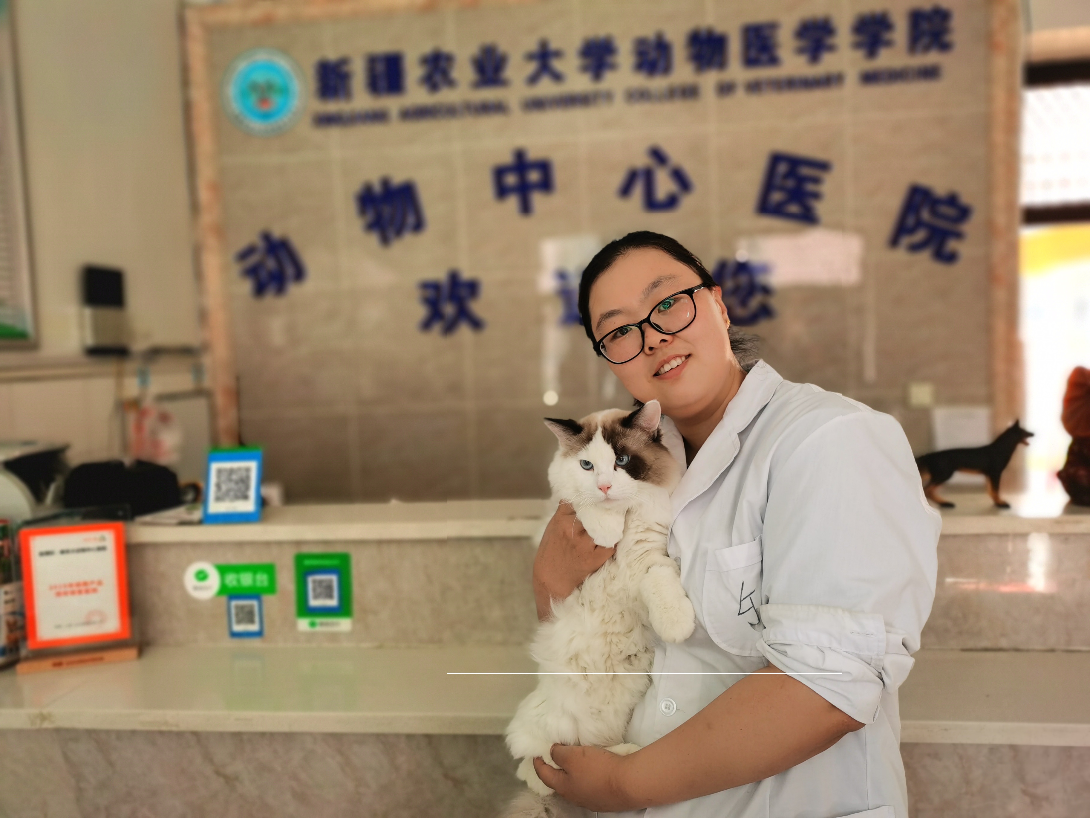 刘佳（兽医师）